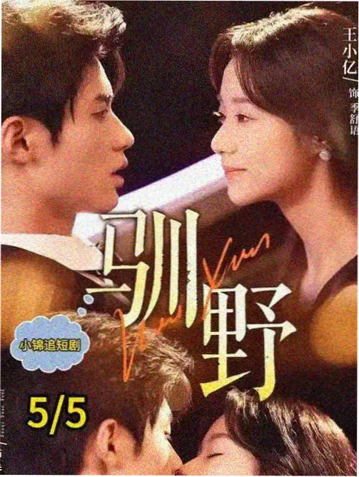 九门剧情解说